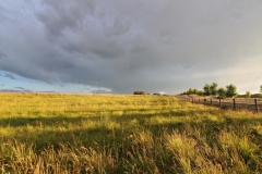 20190712_204601