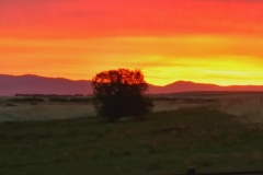 Sunrise at Kingfisher Ranch