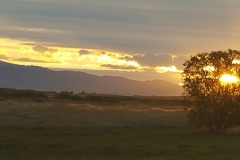 Morning Sunrise at Aloft