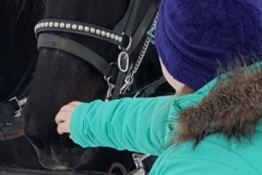 Student petting horse at elk ride