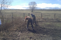 Getting garden area ready