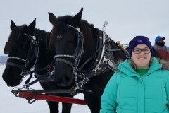 Horses