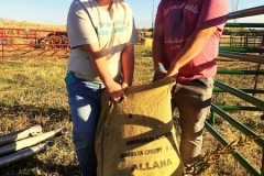 Students working at Twin Oaks
