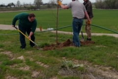 Planting Trees