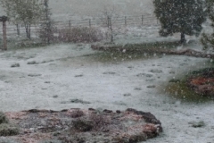 Snow in April backyard