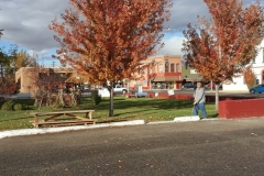 Student working at Internship with Meyers Landscaping