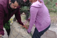 Students helping plant trees on property