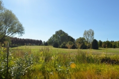 landscape1