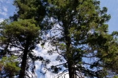 20170725_122508-e1516032052829