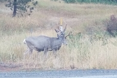 20170922_190757