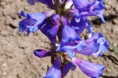 20180524_151028-e1527600690893