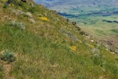 20180524_175404