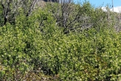 20180524_175740