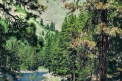 20210530_133917-scaled