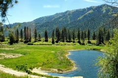 20210530_135031-scaled