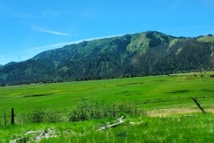 20210530_135136-scaled