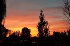 Resized95201710189519135895987