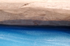 20200814_110328-scaled