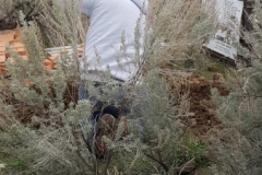 Kyle working