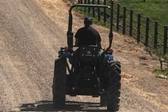 image_from_ios-2-6-scaled