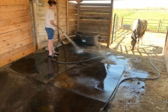 image_from_ios-20-1-scaled