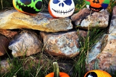 Students pumpkin art display