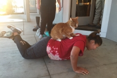 Tommy helping student workout