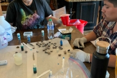 image_from_ios-29-1-scaled