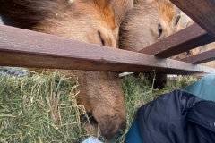 image_from_ios-5-scaled